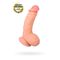 Реалистичный фаллоимитатор TOYFA RealStick Elite DILDO (18,5 см)