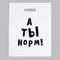 Пакет полиэтиленовый с вырубной ручкой, «А ты норм!» (31х40 см, 60 мкм)